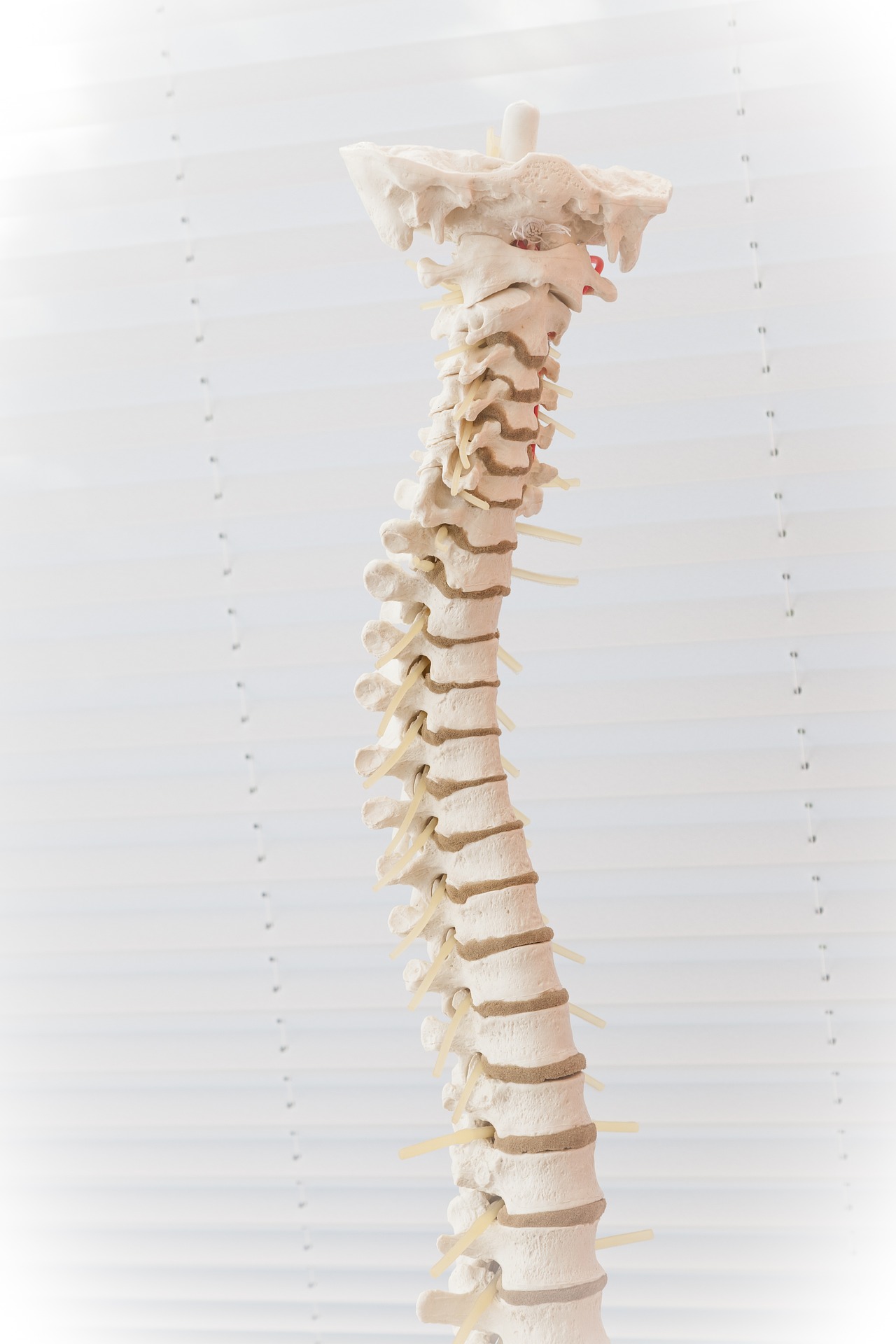 Orthopädie